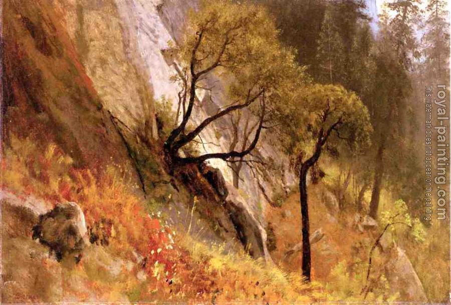 Albert Bierstadt : Landscape Study Yosemite California